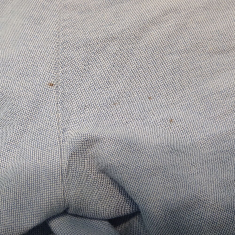J. Crew Powder Blue Shorts - Picture 3 of 4